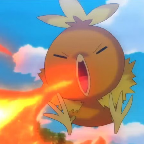 Torchic's Avatar