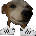 Mason676767's Avatar